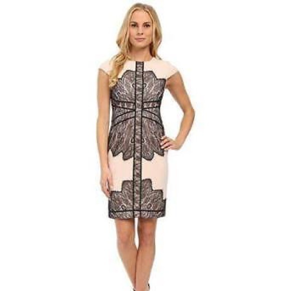 Adrianna Papell Dresses & Skirts - Stitch Fix Adrianna Papell pink lace dress